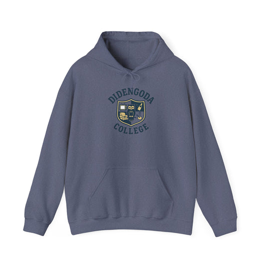 A Unisex Heavy Blend™ Hooded Sweatshirt
